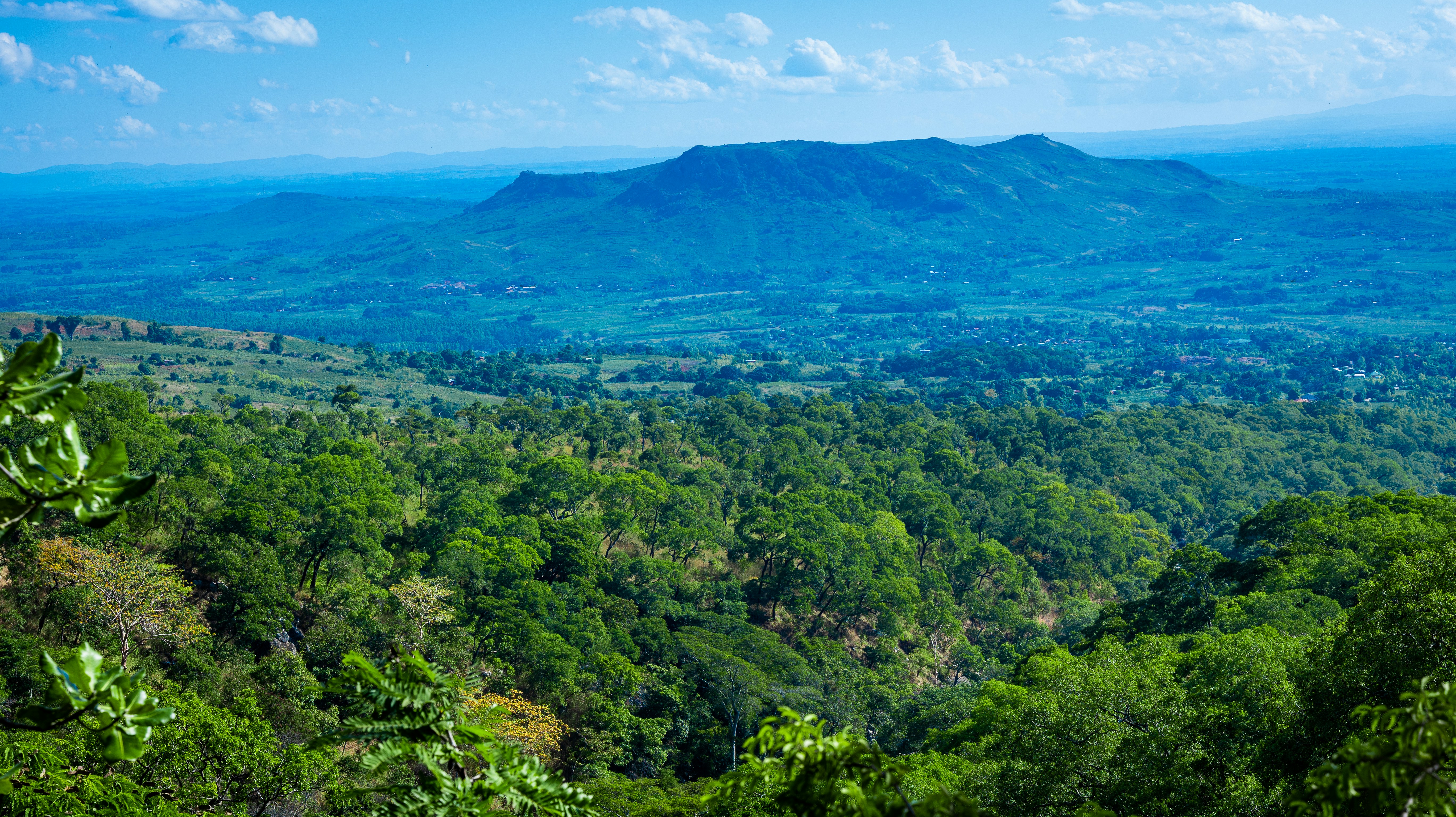 A photo of Sunbird Ku Chawe, Zomba Mountain, Zomba, Malawi by Omar Hakeem