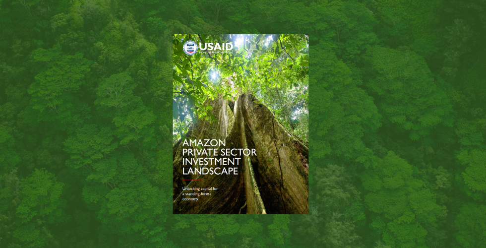 Amazon Private Sector Investment Landscape report v3