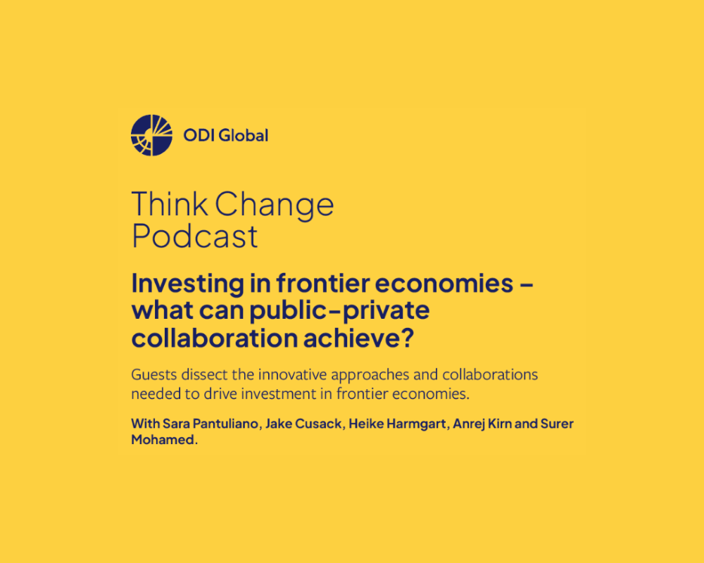 Investing in frontier markets - what can public-private collaboration achieve?