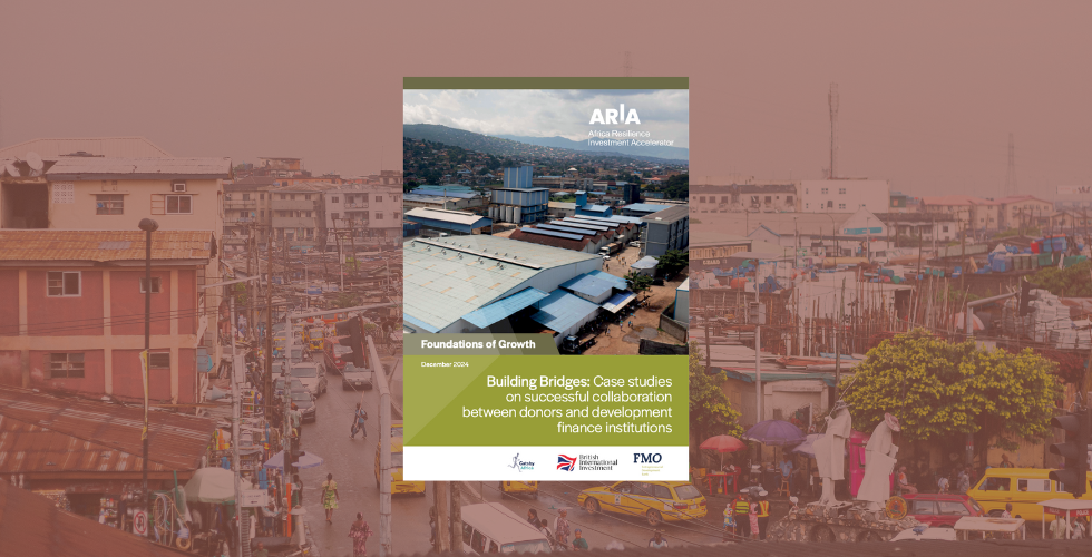 Building Bridges: Case studies on successful collaboration between donors and development finance institutions