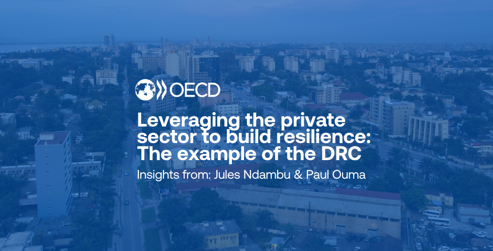Leveraging the private sector to build resilience: The example of the Democratic Republic of the Congo