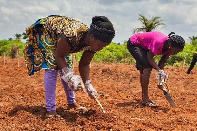 Transforming a Non-Profit Foundation into a Sustainable Change-Maker