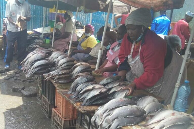 Kenyan Cage Fish Farm Market Analysis and Commercial Diligence
