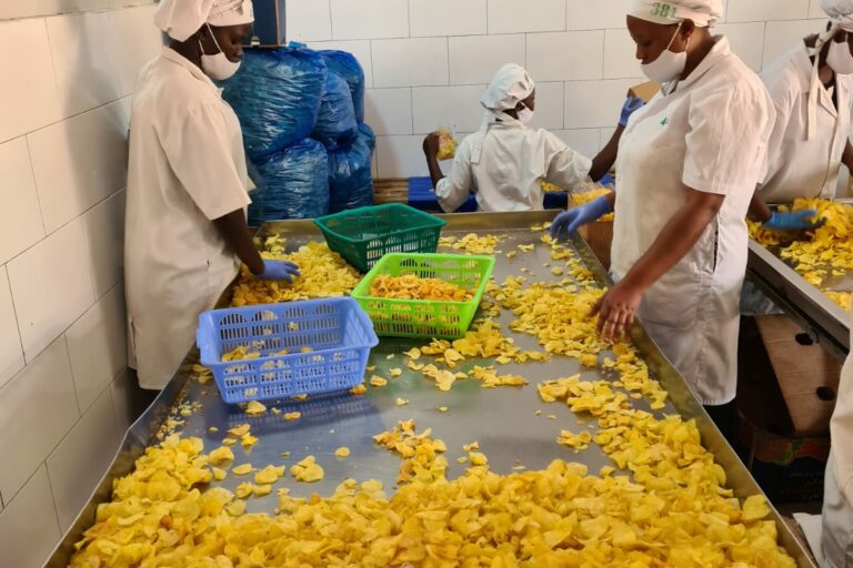 Elevating Agribusiness Investments: Advising Pearl Capital on Newman Foods’ Uganda Market Entry