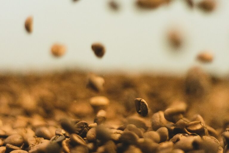 Capital Raise for a Pioneering Coffee & Cocoa Cooperative in DRC