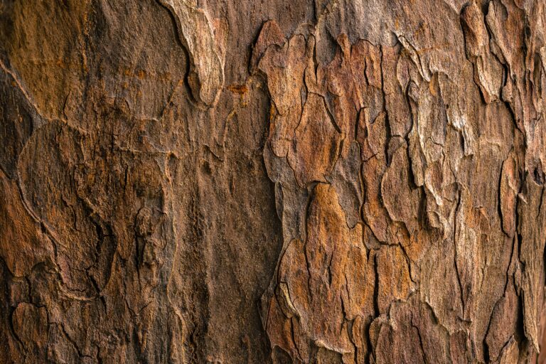 Transaction Advisory for Global Quinine Leader Based in Eastern DRC