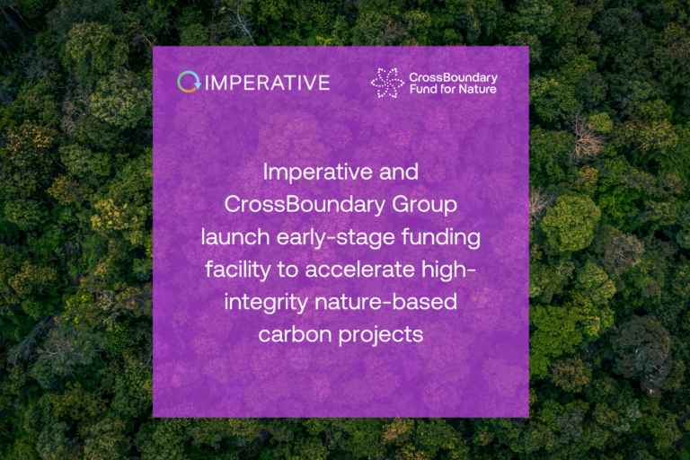 Imperative and CrossBoundary Group launch early-stage funding facility to accelerate high-integrity nature-based carbon projects