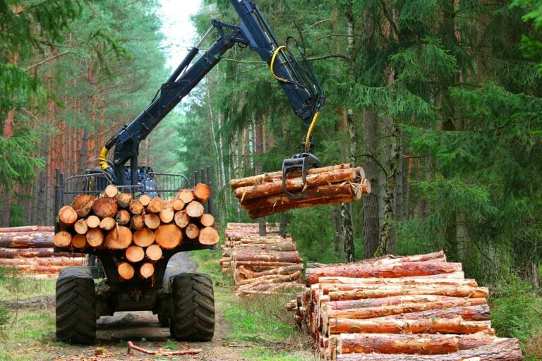 How does East Africa build – sustainably?