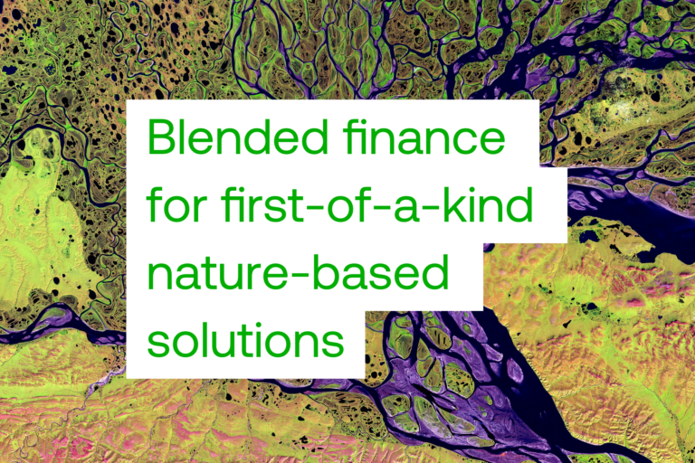Blended finance for first-of-a-kind (FOAK) nature-based solutions