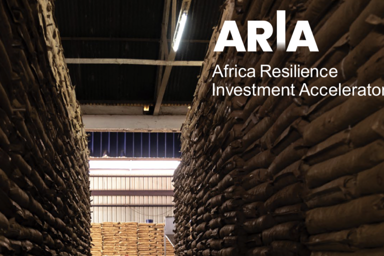 Investment opportunities and needs in frontier markets across Africa: Insights from ARIA countries