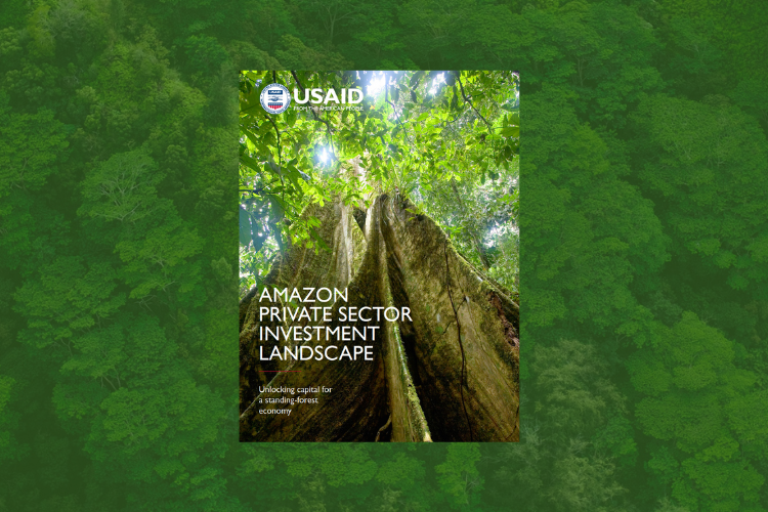Amazon Private Sector Investment Landscape: Unlocking capital for a standing forest economy