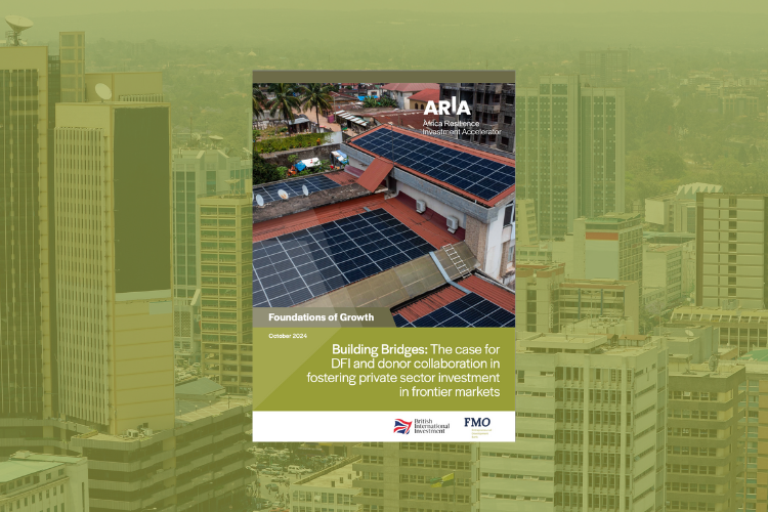 The case for DFI and donor collaboration in fostering private sector investment in frontier markets