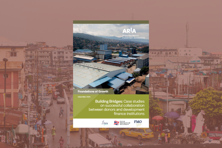 Building Bridges: Case studies on successful collaboration between donors and development finance institutions