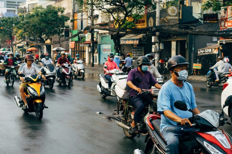 Transaction Advisory on a Leading Investment Mobilization Platform for Clean Energy in South Asia