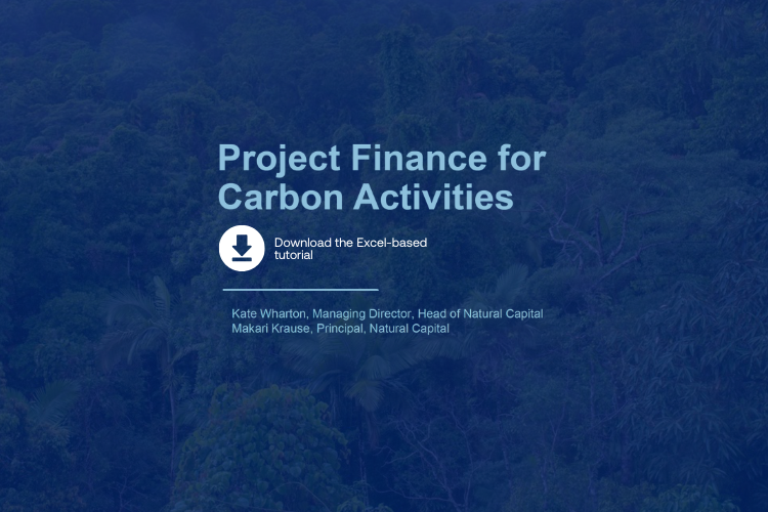 Unlocking Carbon Finance: download an Excel-based model