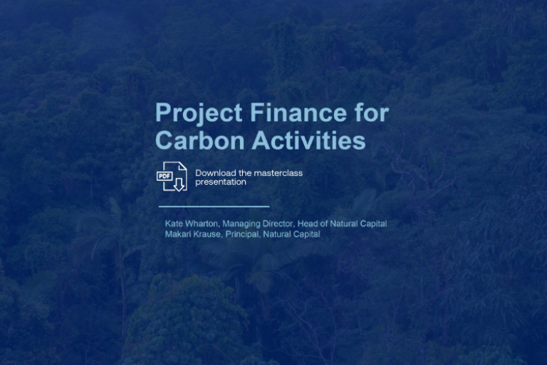 Unlocking Carbon Finance: a project finance Masterclass by CrossBoundary and Gold Standard