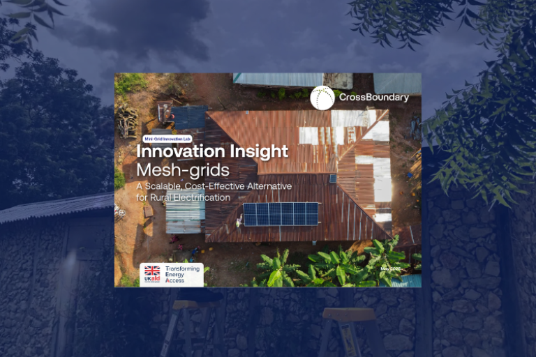 New study reveals mesh-grids as a cost-effective, scalable approach for rural electrification – Mini-Grid Innovation Insight
