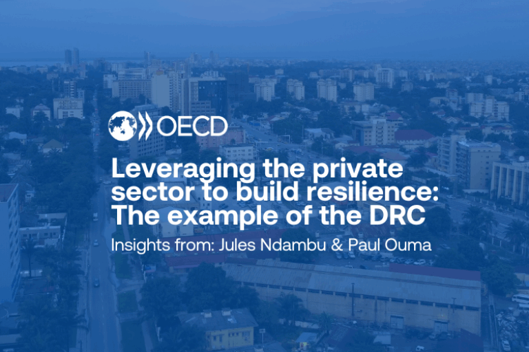 Leveraging the private sector to build resilience: The example of the Democratic Republic of the Congo