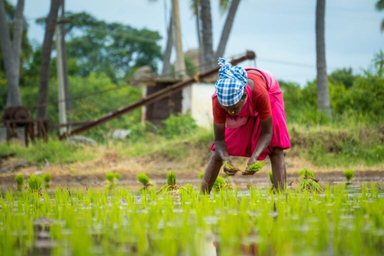 Getting incentive design right: Lessons from a gender-smart financing pilot for energy access